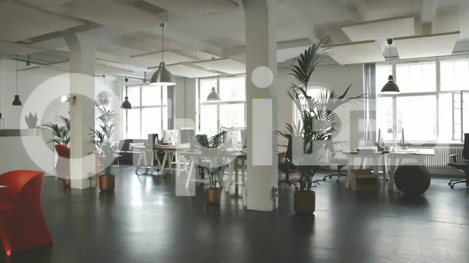 Bureau dans Limoges à louer Photo intérieure– Image 1 sur 7