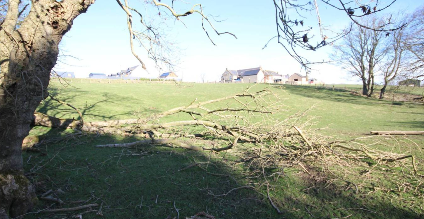 Site adjacent to Hall Cottage, Keswick à vendre Photo principale– Image 1 sur 2