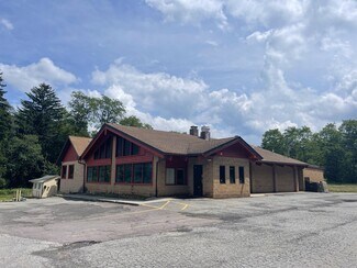 Plus de détails pour 732 Hamlin Hwy, Lake Ariel, PA - Local commercial à vendre