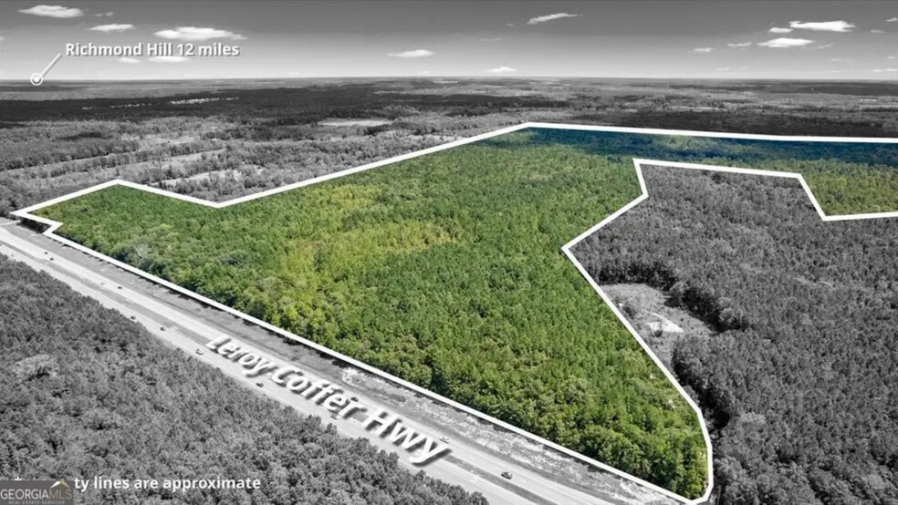 262.44 AC Leroy Coffer hwy, Fleming, GA à vendre - Photo de l’immeuble – Image 3 sur 4