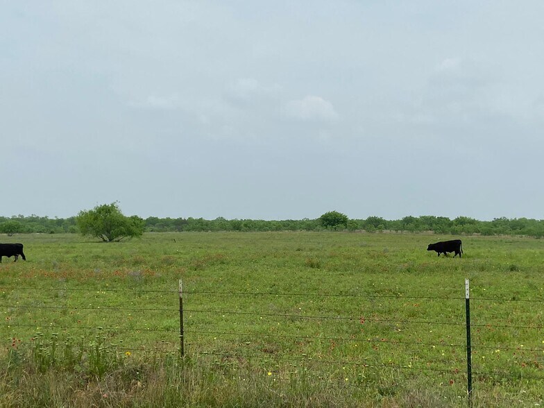 000 Applewhite Rd, San Antonio, TX à vendre - Photo de l’immeuble – Image 3 sur 15