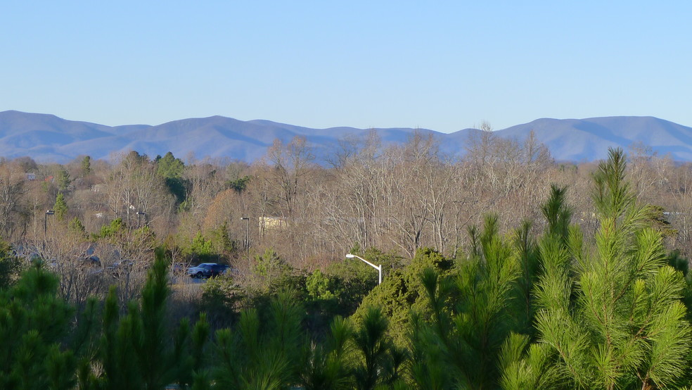 Brockman Park Drive, West & East Commerce St, Amherst, VA à vendre - Photo de l’immeuble – Image 2 sur 7