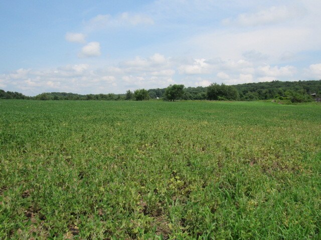 View Photo