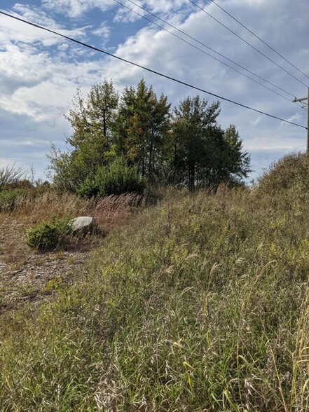 21150 Michigan 68 Hwy, Onaway, MI à vendre - Photo de l’immeuble – Image 3 sur 7