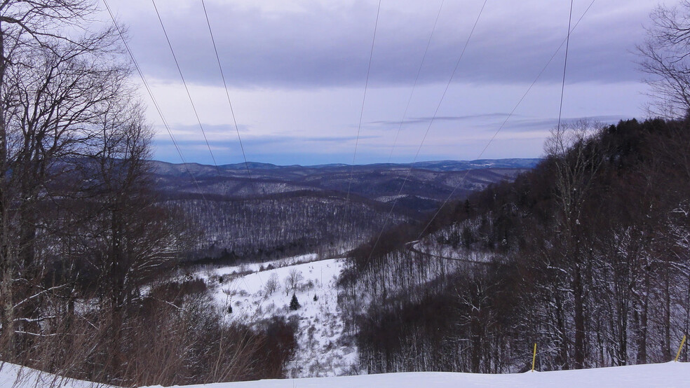 Route 250/92 Durbin, WV, Huttonsville, WV à vendre - Photo de l’immeuble – Image 1 sur 5
