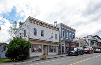 Plus de détails pour 27 Lower Main St, Callicoon, NY - Local commercial à vendre