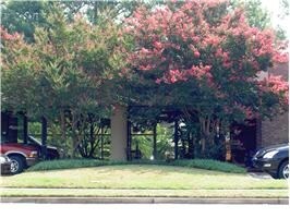 210 Exchange Pl NW, Huntsville, AL à louer - Photo de l’immeuble – Image 2 sur 25