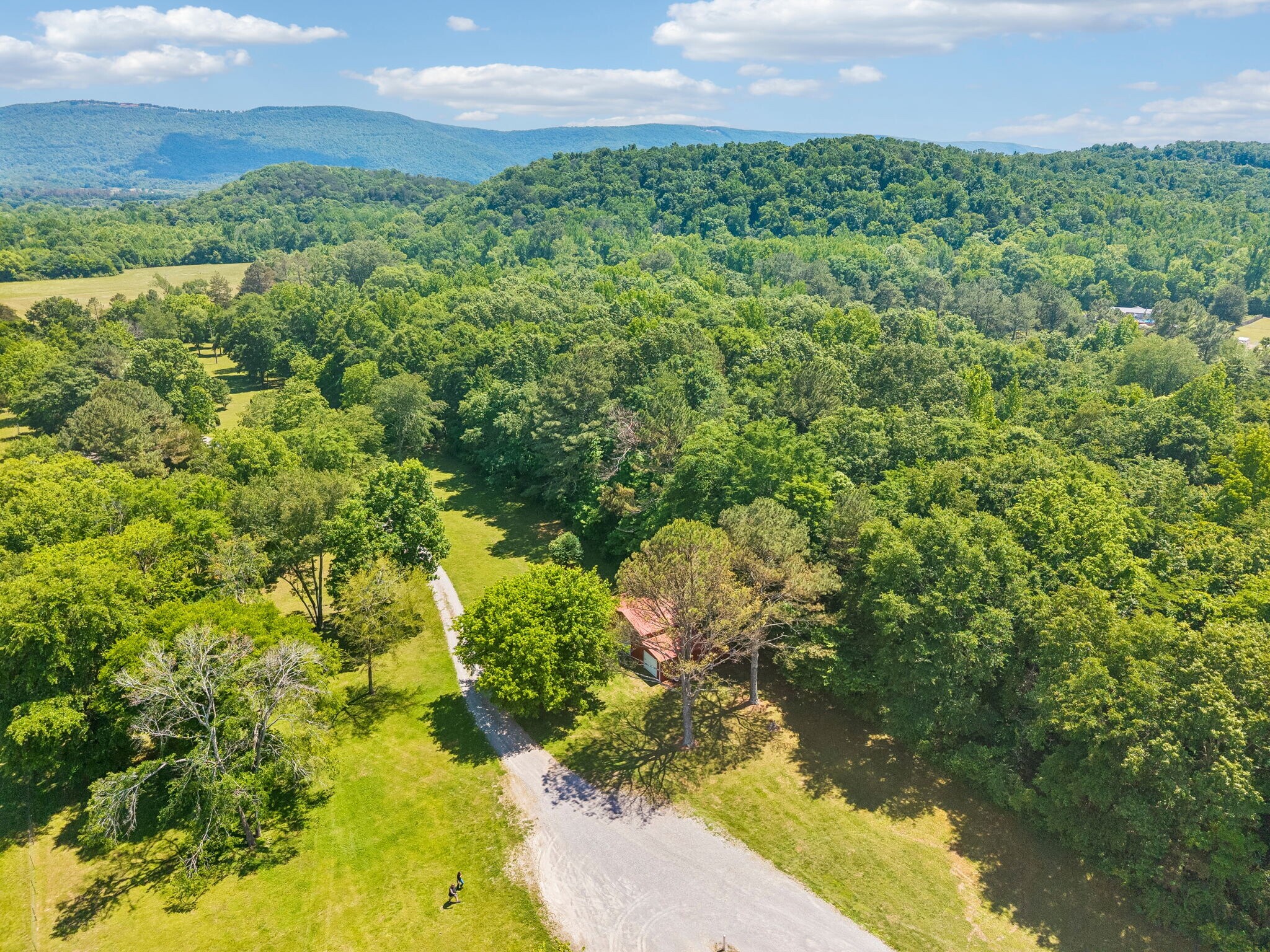 49 Cutting Edge Ln, Dunlap, TN à vendre Photo de l’immeuble– Image 1 sur 57