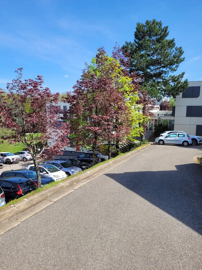 Plus de détails pour 22 Chemin Du Moulin Carron, Écully - Bureau à vendre