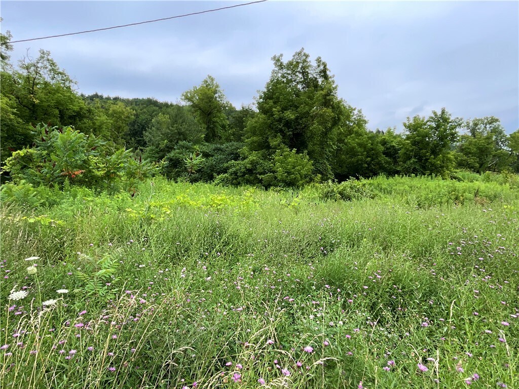 5277 NY-12, Norwich, NY à vendre Photo principale– Image 1 sur 4