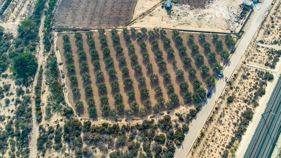 Parcela, 16, Crevillent, Alicante à vendre - Aérien – Image 1 sur 7