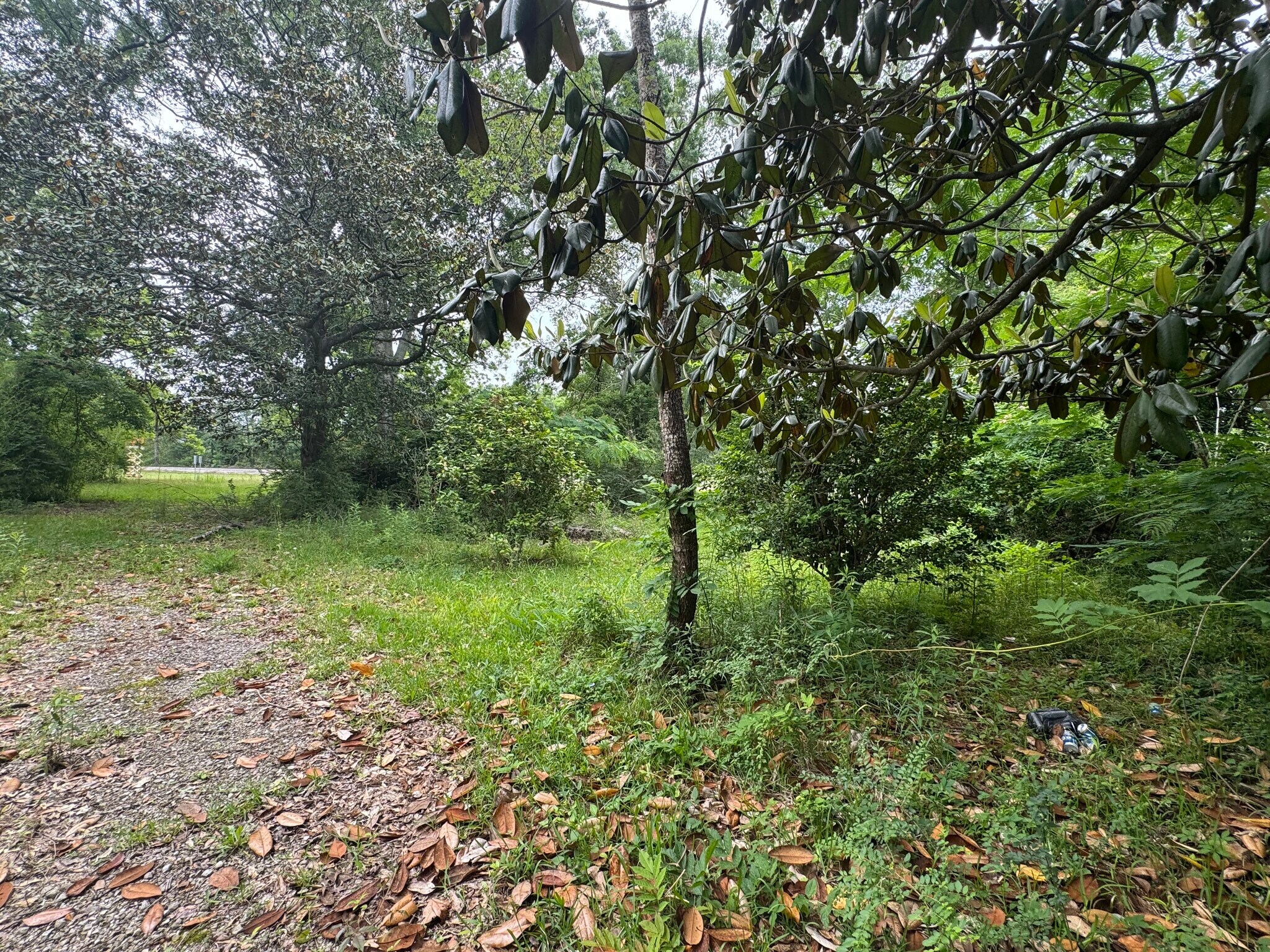 12410 US-165 Hwy, Glenmora, LA à vendre Autre– Image 1 sur 9