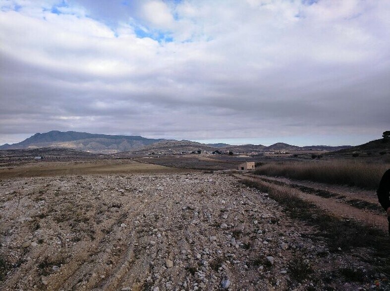 Terrain dans Jumilla, Murcia à vendre - Plan de site – Image 3 sur 8