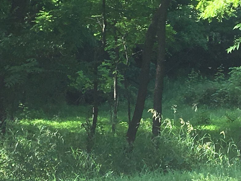 277 Route 94, Vernon, NJ à vendre - Autre – Image 3 sur 3