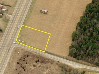 Plus de détails pour Highway 27, Sale Creek, TN - Terrain à vendre