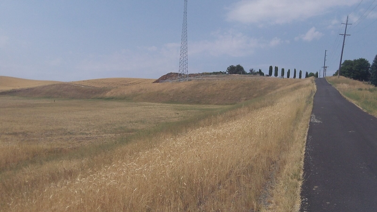 View Photo
