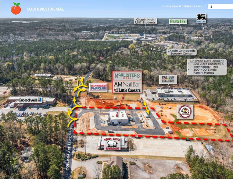 523 Columbia ave, Chapin, SC à vendre - Photo de l’immeuble – Image 3 sur 5
