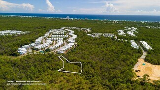 Plus de détails pour 0000 Turkey Oak Dr, Santa Rosa Beach, FL - Terrain à vendre