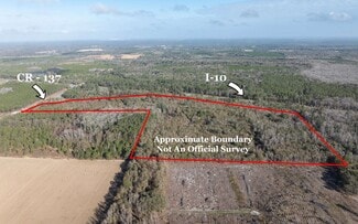 Plus de détails pour TBD CR 137 & I-10, Wellborn, FL - Terrain à vendre