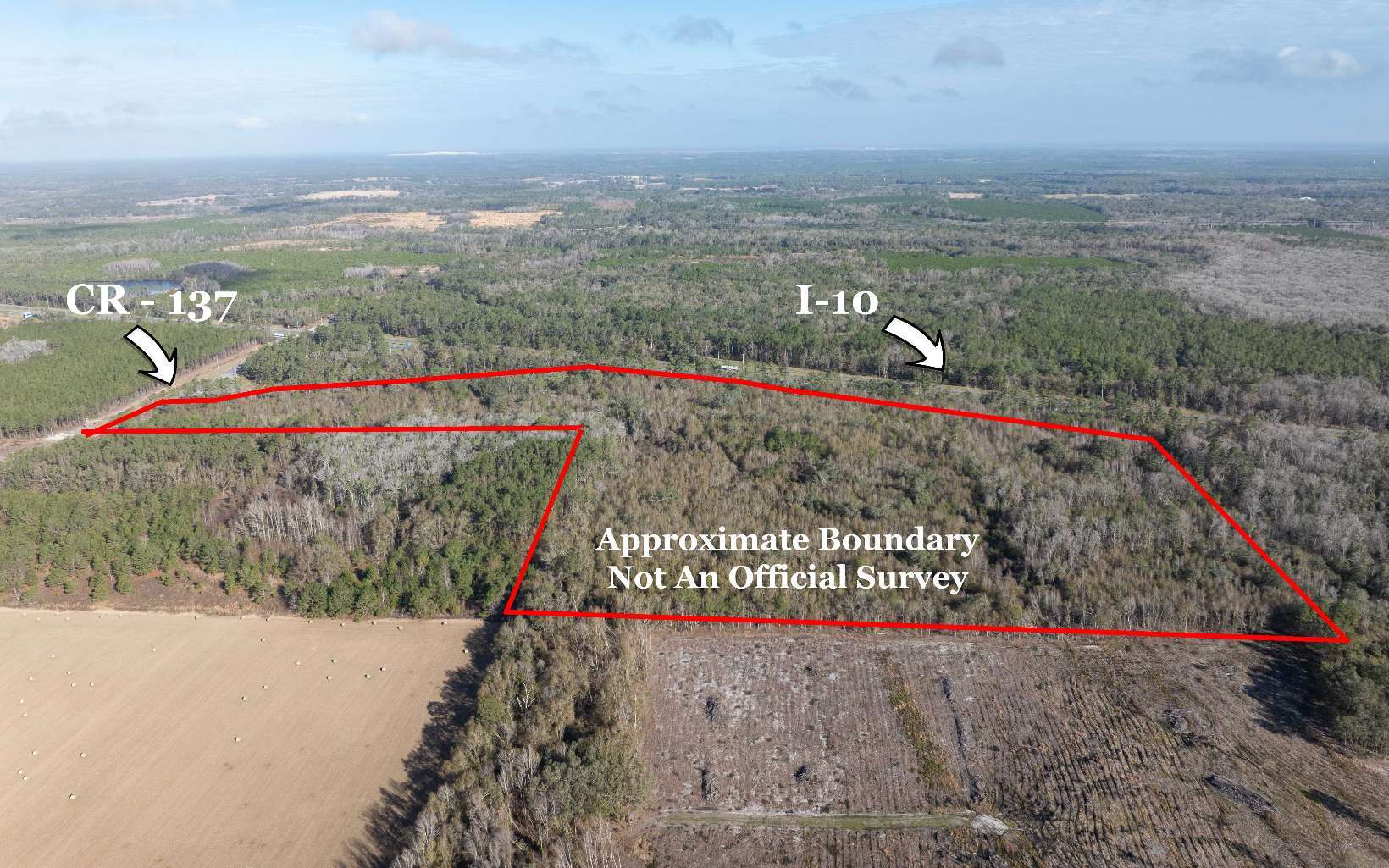 TBD CR 137 & I-10, Wellborn, FL à vendre Photo principale– Image 1 sur 22