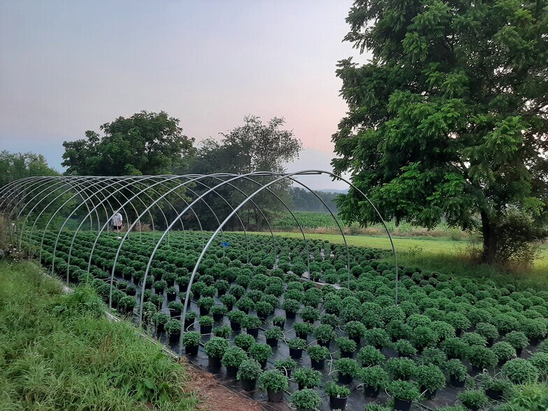 1814 Iron Bridge Rd, Hustontown, PA à vendre - Photo de l’immeuble – Image 3 sur 44