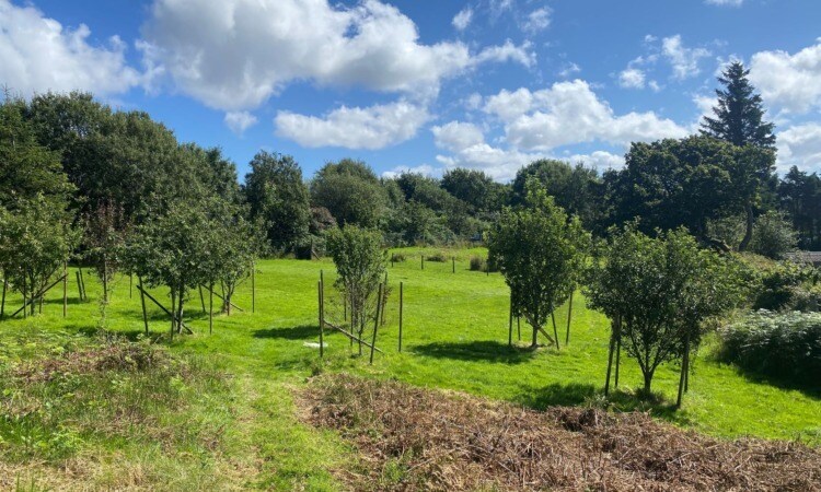 Plot 2 North East Of Nightingale, Arisaig à vendre - Photo de l’immeuble – Image 2 sur 4