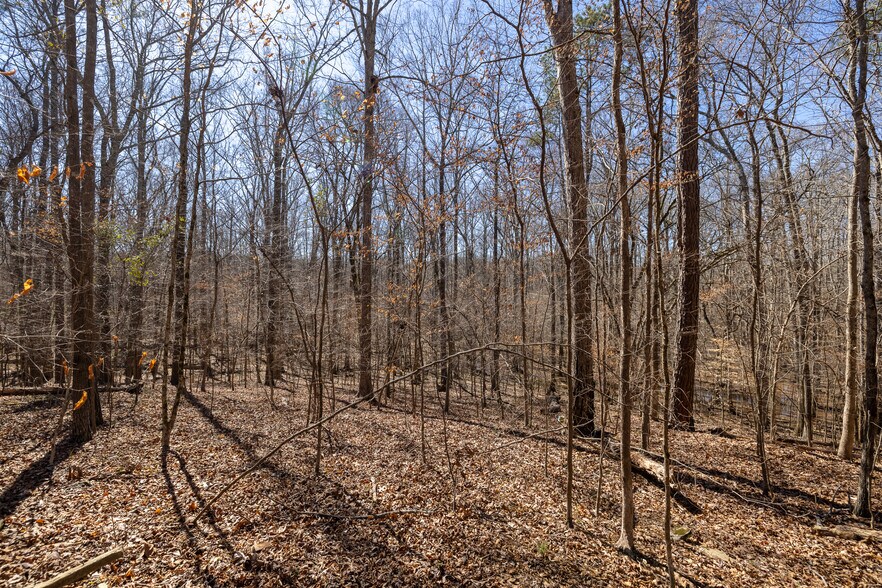 0 Fontainbleau Dr, Conyers, GA à vendre - Autre – Image 3 sur 9