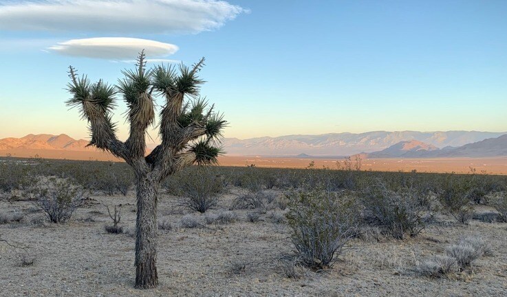 0 Meander Rd, Lucerne Valley, CA à vendre - Photo de l’immeuble – Image 1 sur 1