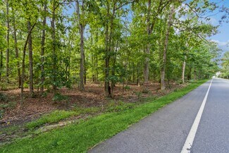 Plus de détails pour 3292 Tuckahoe Rd, Franklinville, NJ - Terrain à vendre