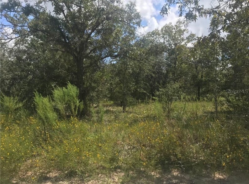 6879 Wanderlust Point, Homosassa, FL à vendre - Photo de l’immeuble – Image 3 sur 3