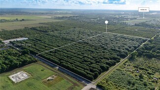 Plus de détails pour 187th Ave, Miami, FL - Terrain à vendre