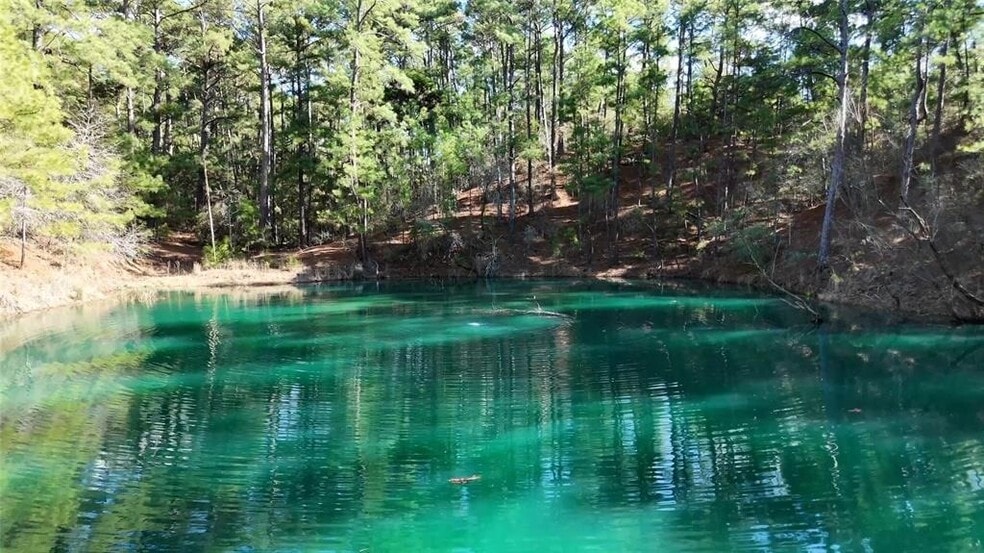 338 Copeland Hill rd, Smithville, TX à vendre - Photo de l’immeuble – Image 2 sur 21