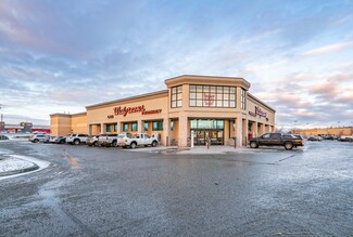 Plus de détails pour 1721 E Parks Hwy, Wasilla, AK - Local commercial à vendre