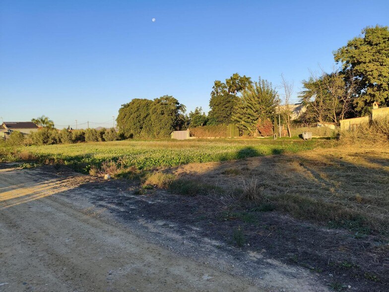 Brazal de la, 595, Murcia, Murcia à vendre - Plan de site – Image 3 sur 7