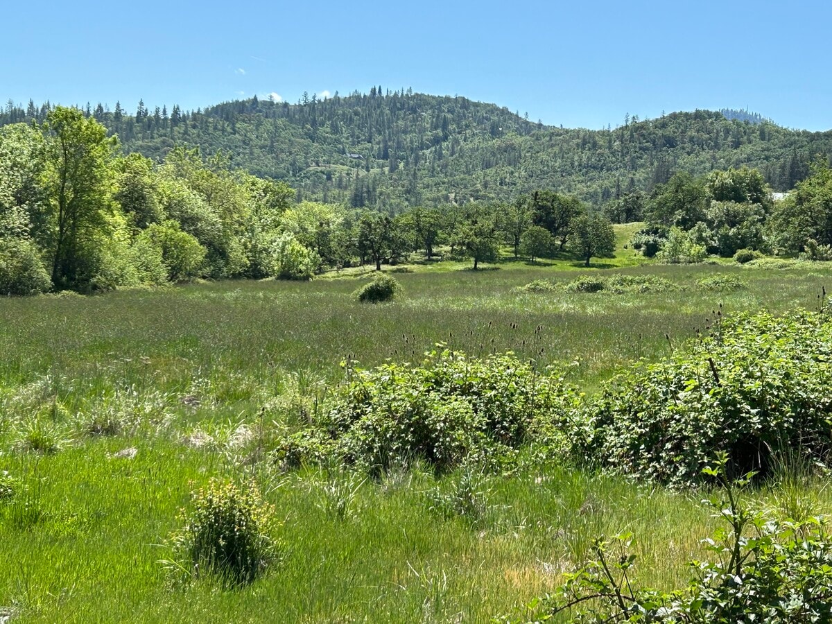 View Photo