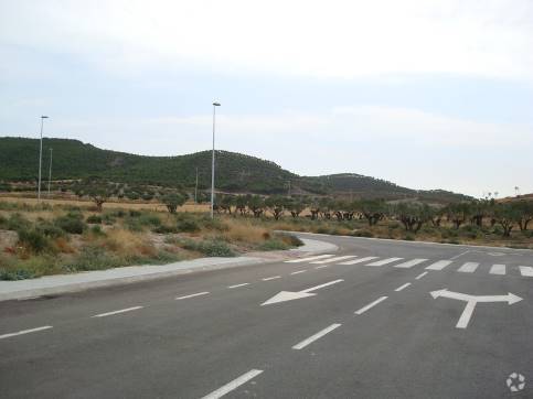 View Photo