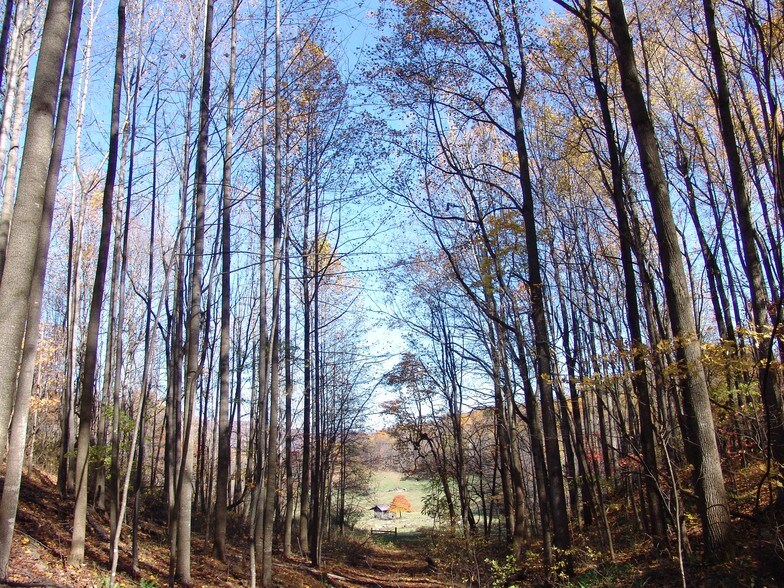 Little Washington Rappahannock County, Washington, VA à vendre - Autre – Image 2 sur 73