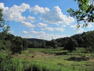 Plus de détails pour 955 Pine Grove Rd, Industry, PA - Terrain à vendre