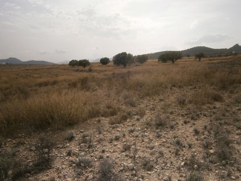 Terrain dans Salinas, Alicante à vendre - Aérien – Image 1 sur 6