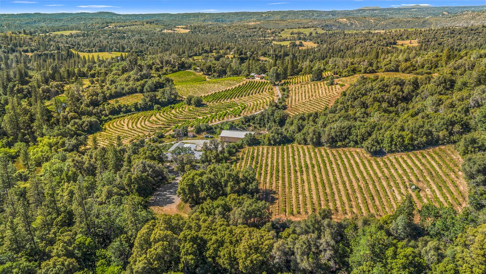 8221 Stoney Creek Rd, Fair Play, CA à vendre - Photo de l’immeuble – Image 3 sur 28