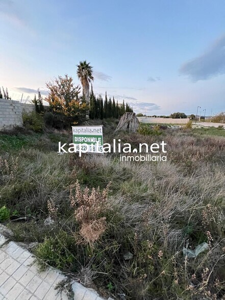 Terrain dans Llanera de Ranes, Valencia à vendre - Photo principale – Image 3 sur 4