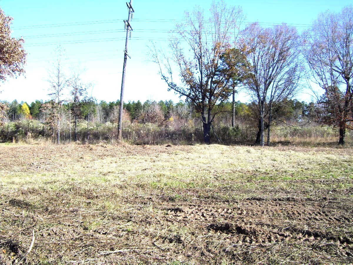 View Photo