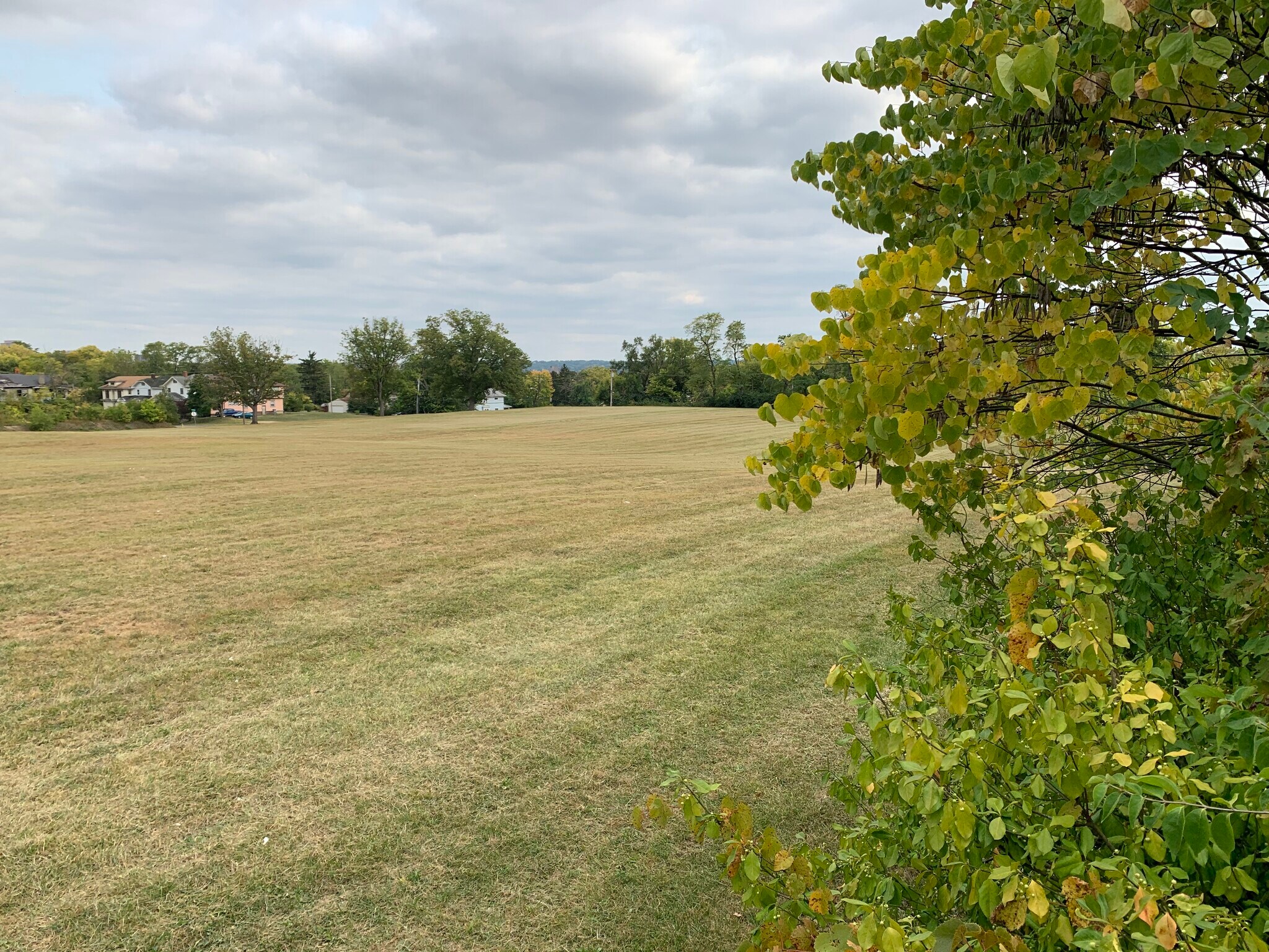 1231 N Euclid Ave, Dayton, OH à vendre Autre– Image 1 sur 22
