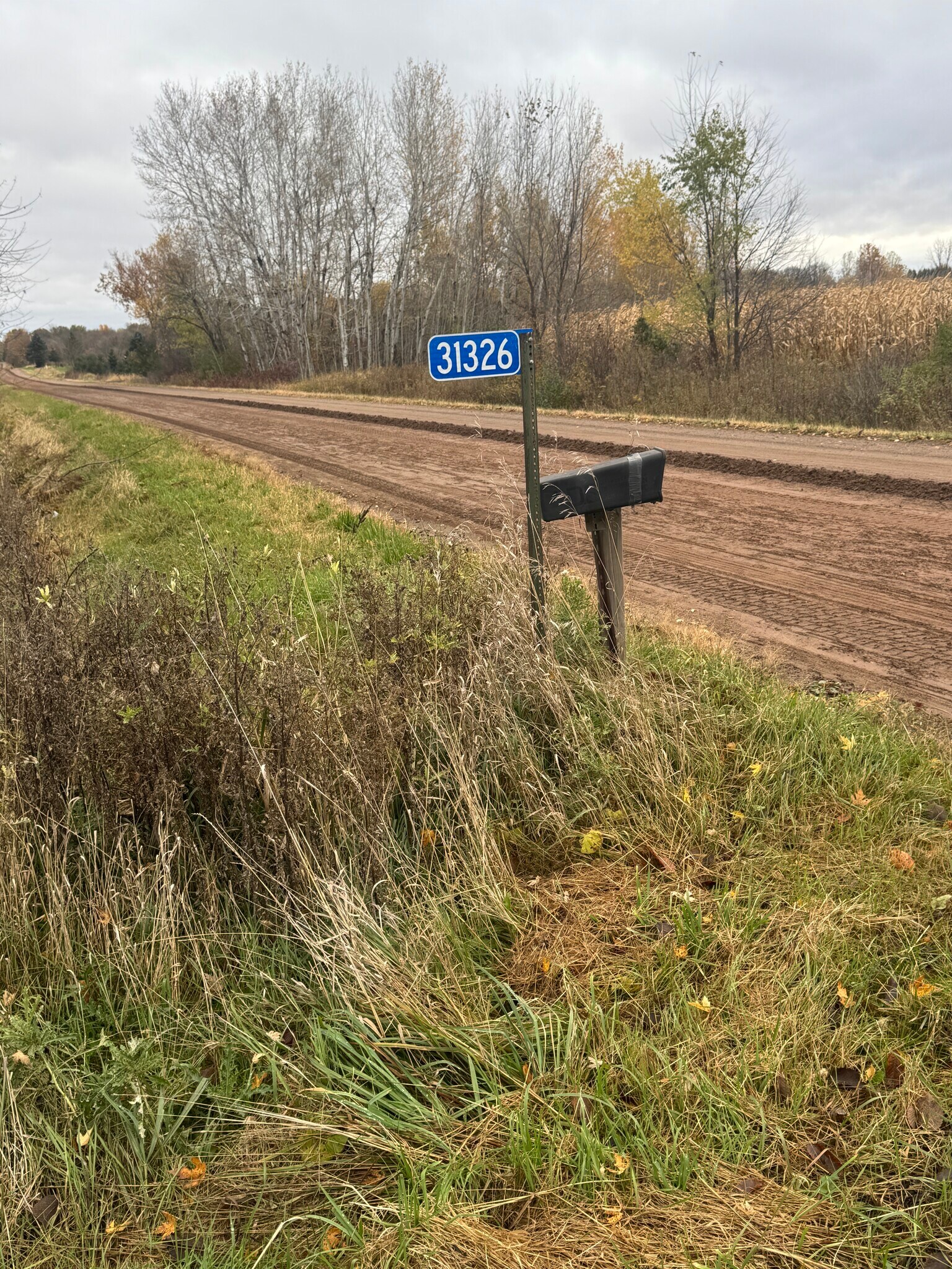 31326 Teal Ave, Shafer, MN à vendre Autre– Image 1 sur 7