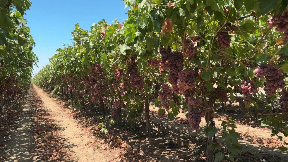 34338 Nevis, Mc Farland, CA à vendre - Vidéo sur l’annonce professionnelle – Image 2 sur 53