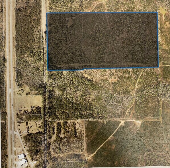 0 Highway 43 N., Mount Vernon, AL à vendre - Photo principale – Image 2 sur 3