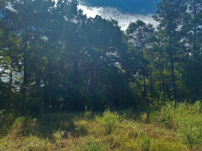 2.94 ac South Street, Nacogdoches, TX à vendre - Photo de l’immeuble – Image 2 sur 2