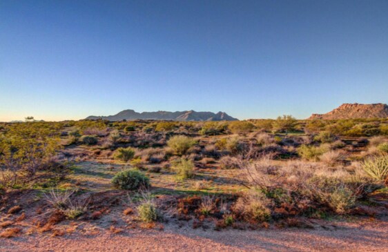 0 N Landfill Rd, Surprise, AZ à vendre - Photo principale – Image 1 sur 1
