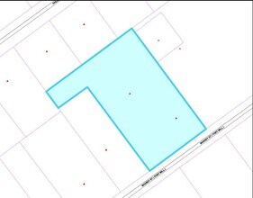 116 Massey St, Fort Mill, SC - Vue aérienne  vue de carte - Image1