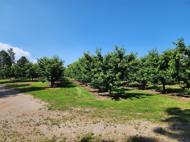 32624 S Finley Point Rd, Polson, MT à vendre - Photo de l’immeuble – Image 2 sur 10